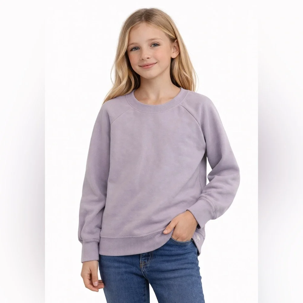 Abercrombie Kids Light Purple Pullover